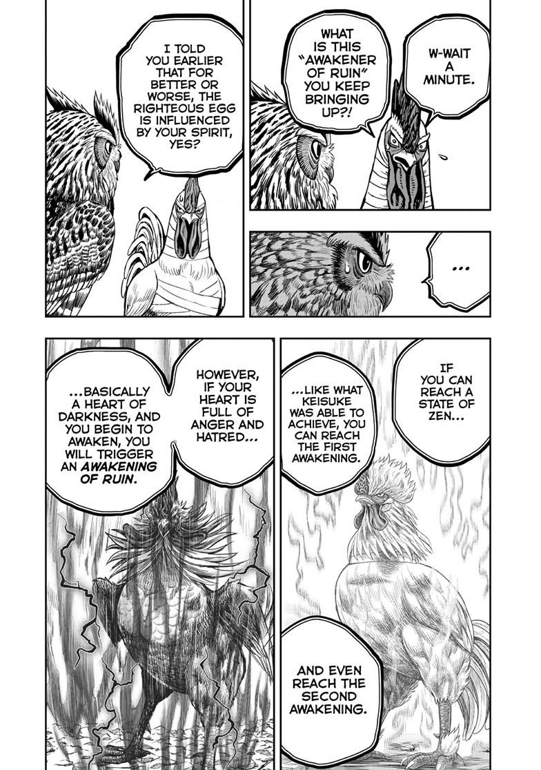 Rooster Fighter chapter 47 page 17