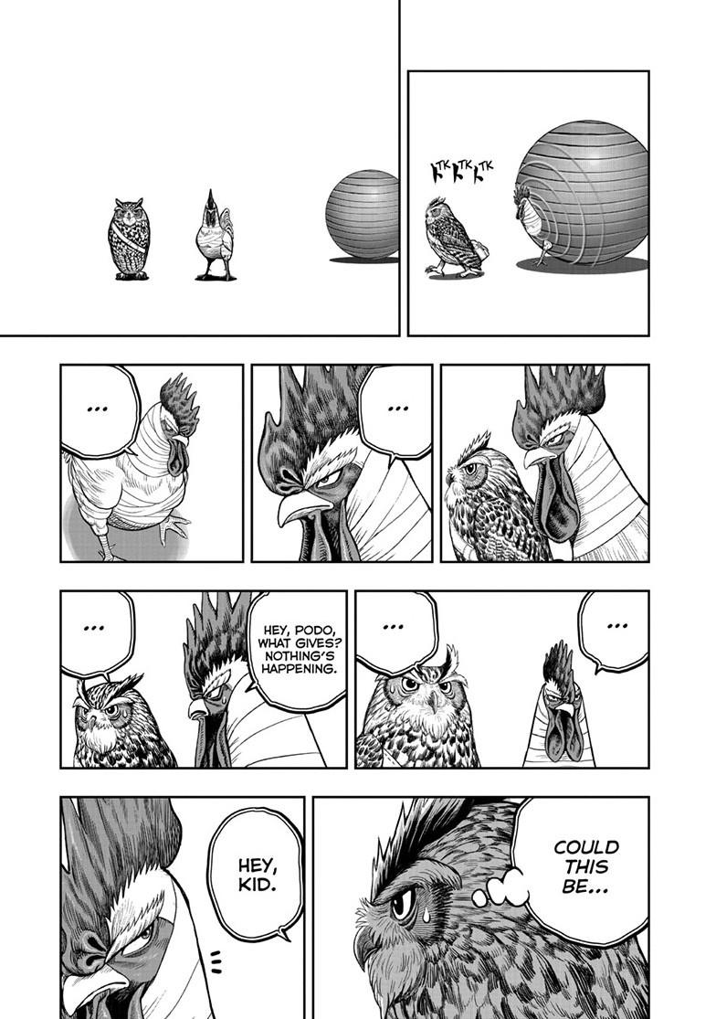 Rooster Fighter chapter 47 page 9