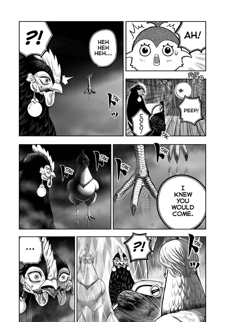 Rooster Fighter chapter 48 page 17