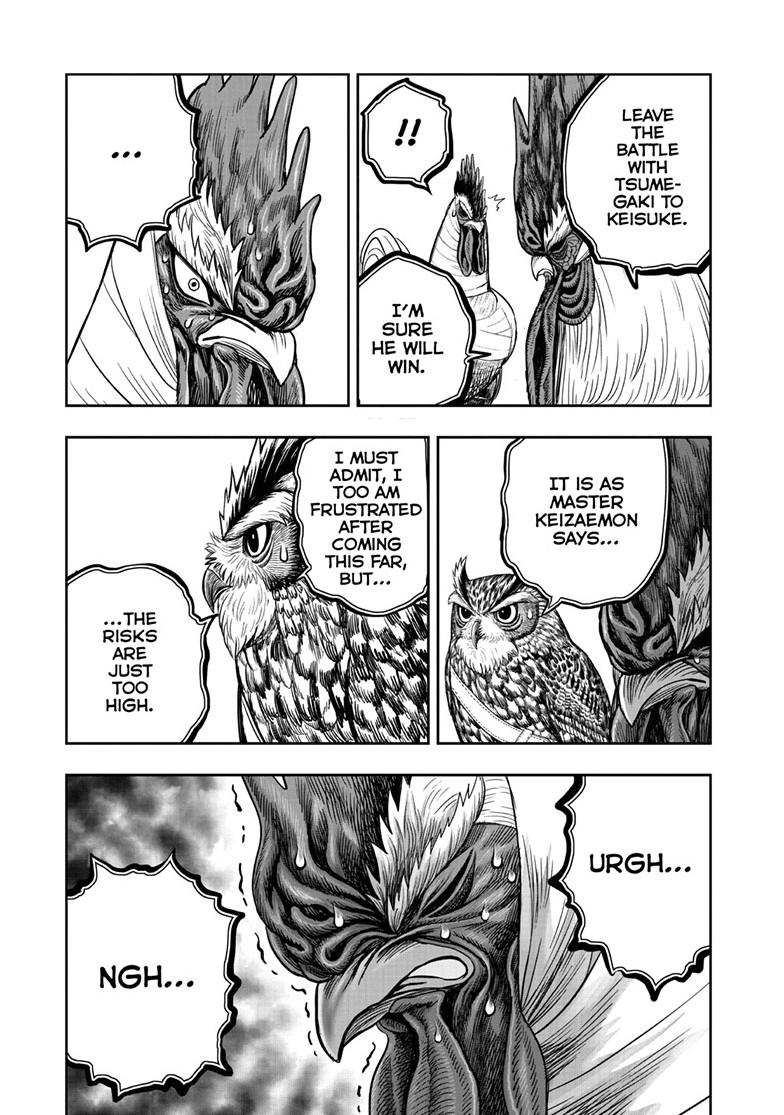 Rooster Fighter chapter 48 page 31