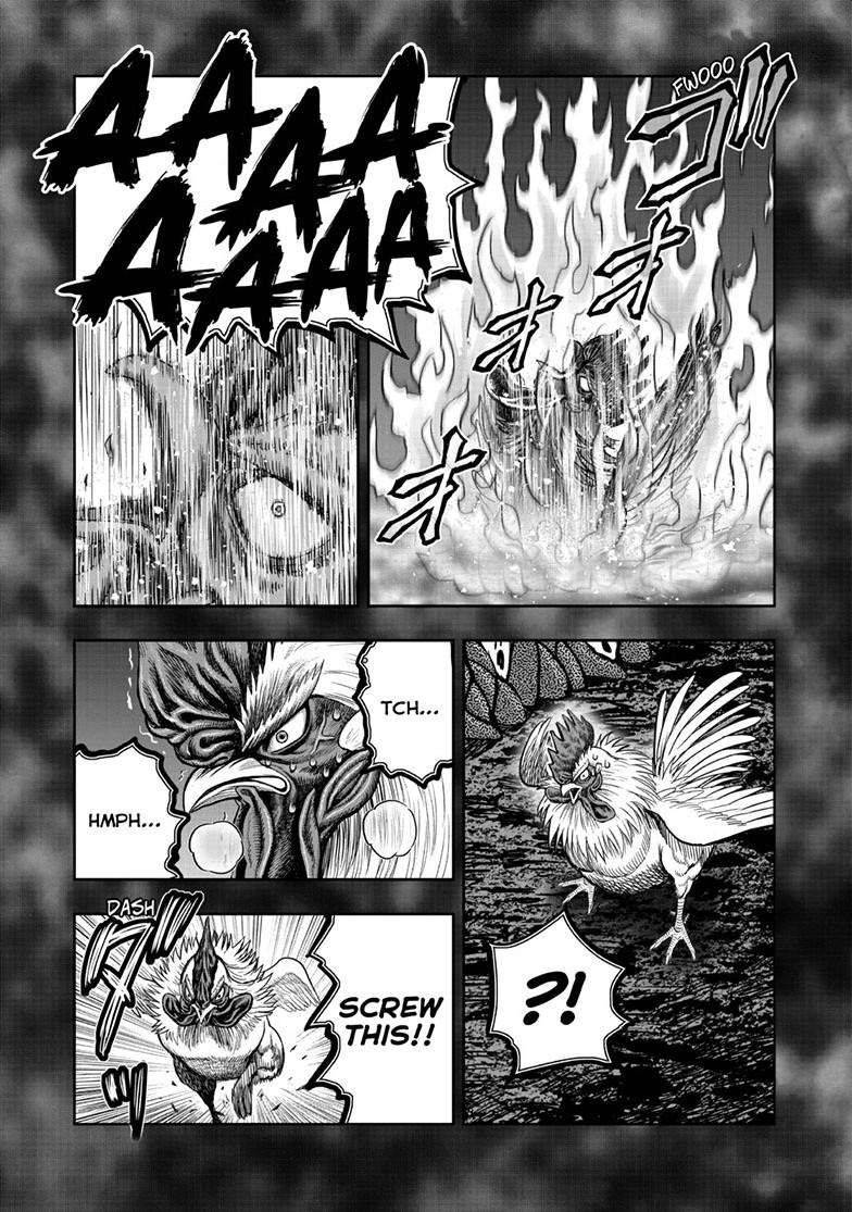 Rooster Fighter chapter 49 page 35