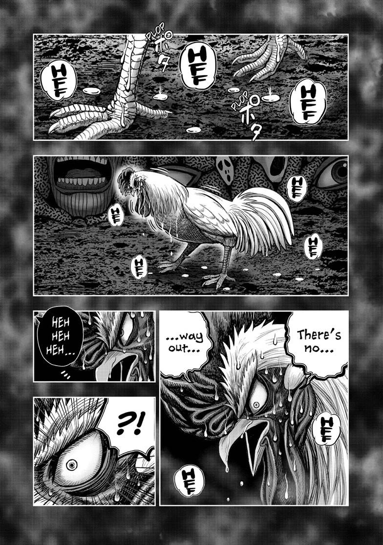 Rooster Fighter chapter 49 page 37