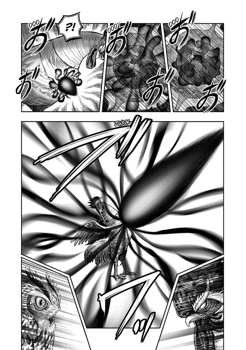 Rooster Fighter chapter 49 page 7