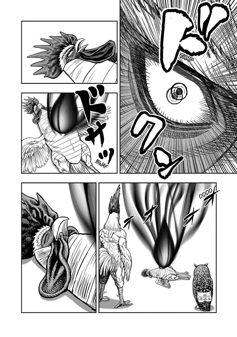 Rooster Fighter chapter 49 page 8