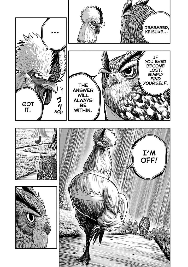 Rooster Fighter chapter 50 page 13