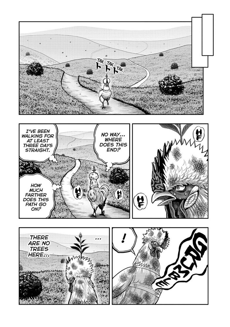 Rooster Fighter chapter 50 page 27