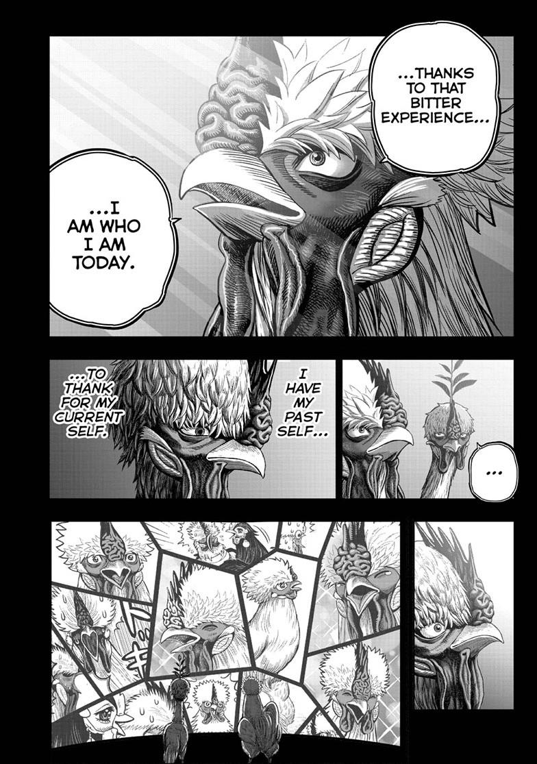 Rooster Fighter chapter 50 page 46