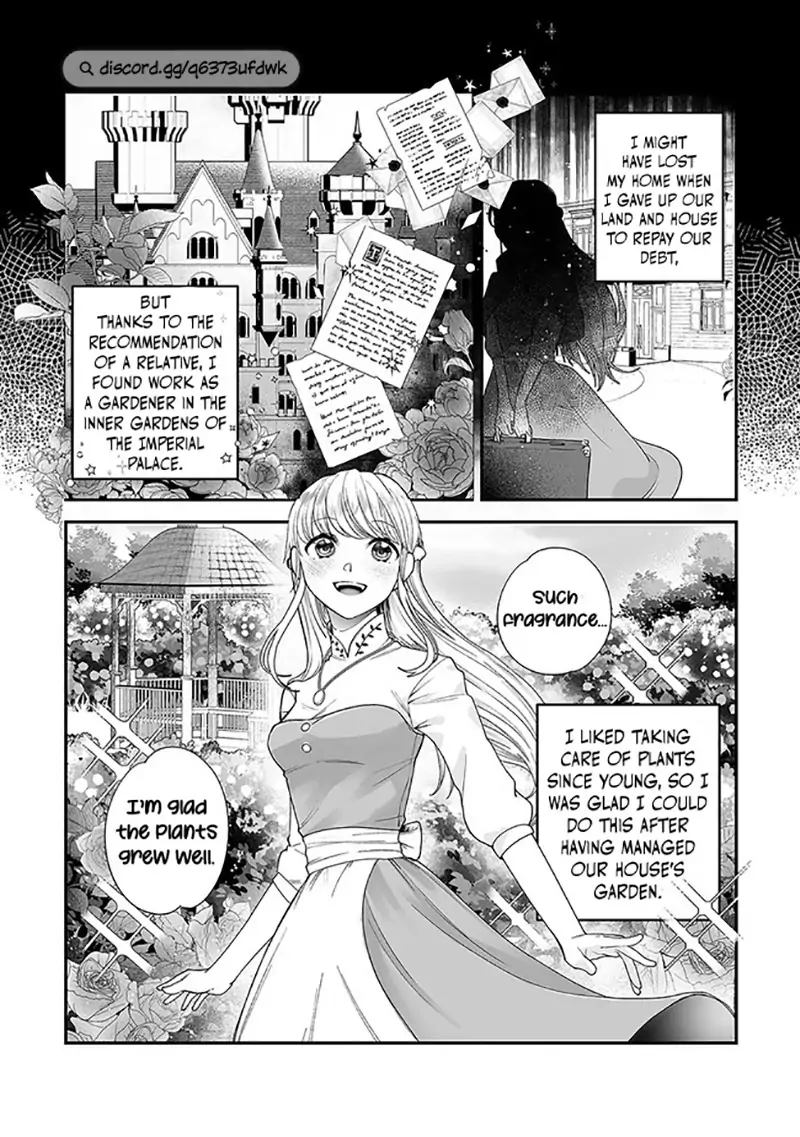 Royal Cinderella Mama - The Orphaned Fallen Noble Lady Is Cherished by the Merciless Emperor [Gourmet Scans] chapter 1.1 page 8