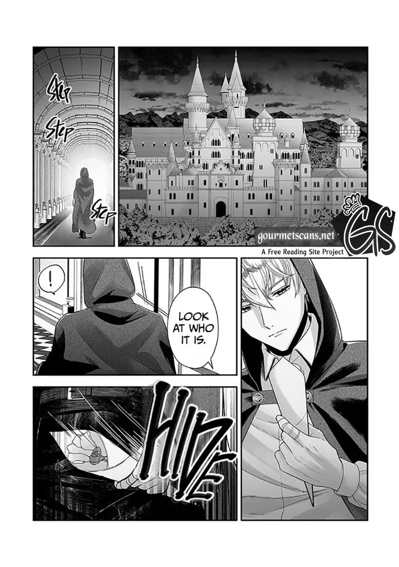Royal Cinderella Mama - The Orphaned Fallen Noble Lady Is Cherished by the Merciless Emperor [Gourmet Scans] chapter 1.2 page 17