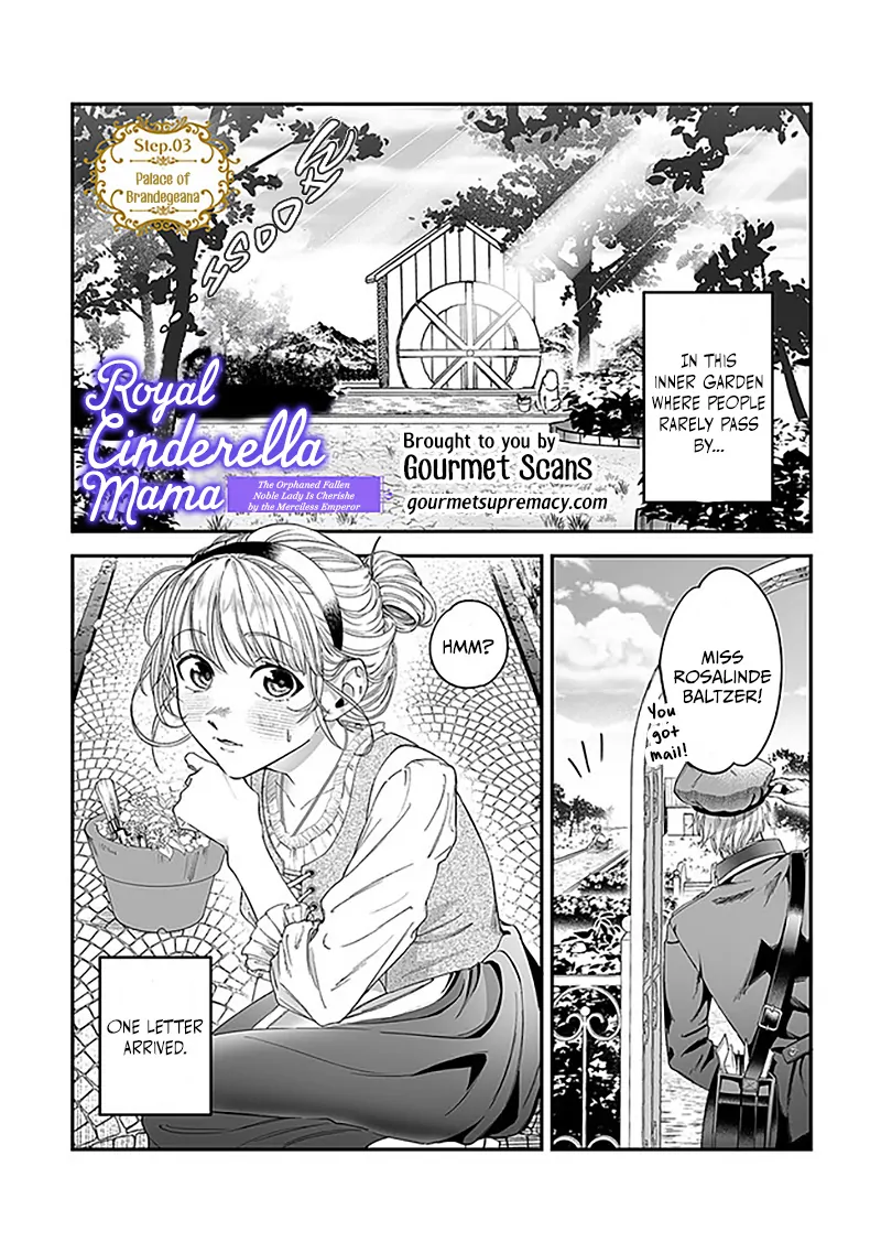 Royal Cinderella Mama - The Orphaned Fallen Noble Lady Is Cherished by the Merciless Emperor [Gourmet Scans] chapter 3 page 2