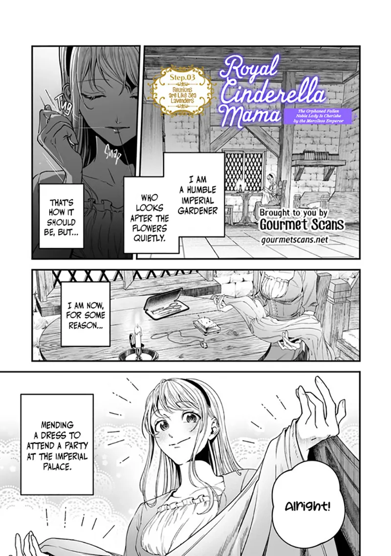 Royal Cinderella Mama - The Orphaned Fallen Noble Lady Is Cherished by the Merciless Emperor [Gourmet Scans] chapter 4 page 2