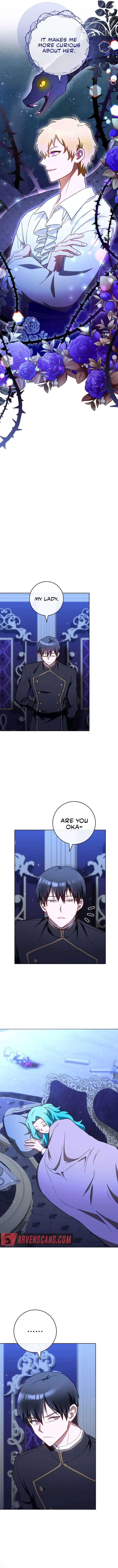 Royal Shop of Young Lady chapter 107 page 12