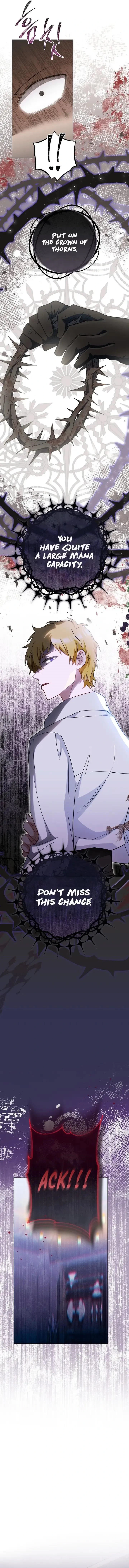 Royal Shop of Young Lady chapter 110 page 15