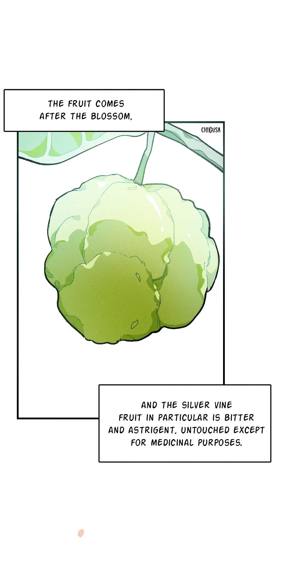 Royal Shop of Young Lady chapter 12 page 40