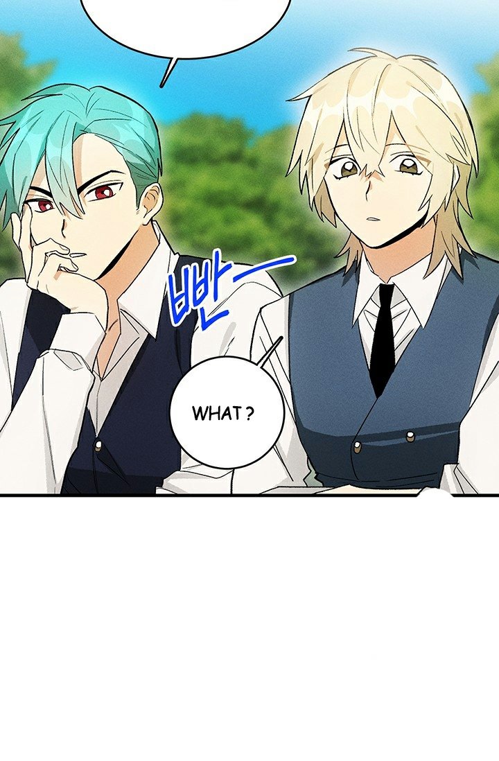 Royal Shop of Young Lady chapter 23 page 11