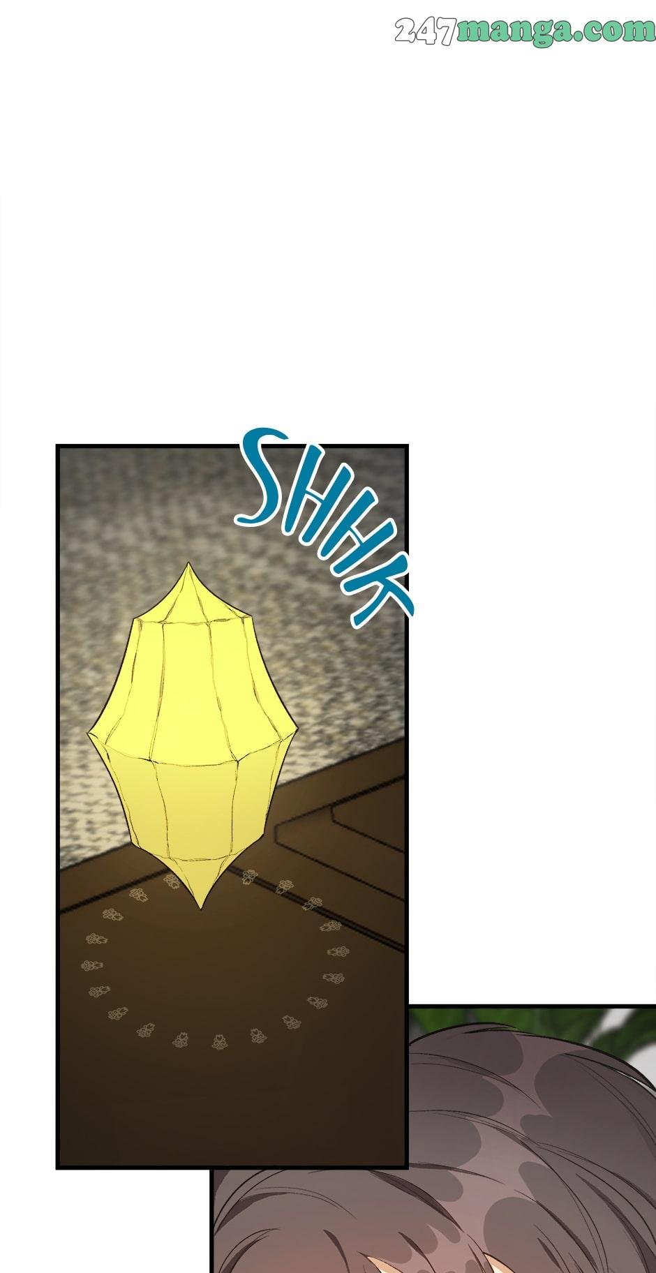 Royal Shop of Young Lady chapter 47 page 9