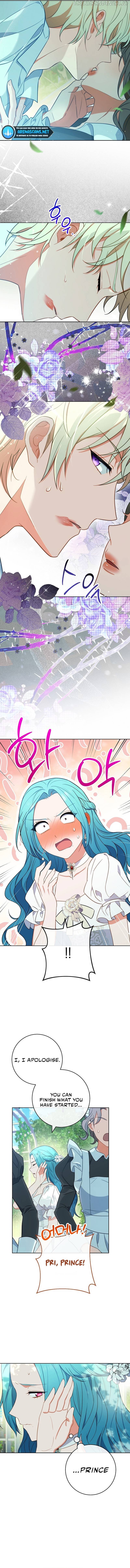 Royal Shop of Young Lady chapter 88 page 4