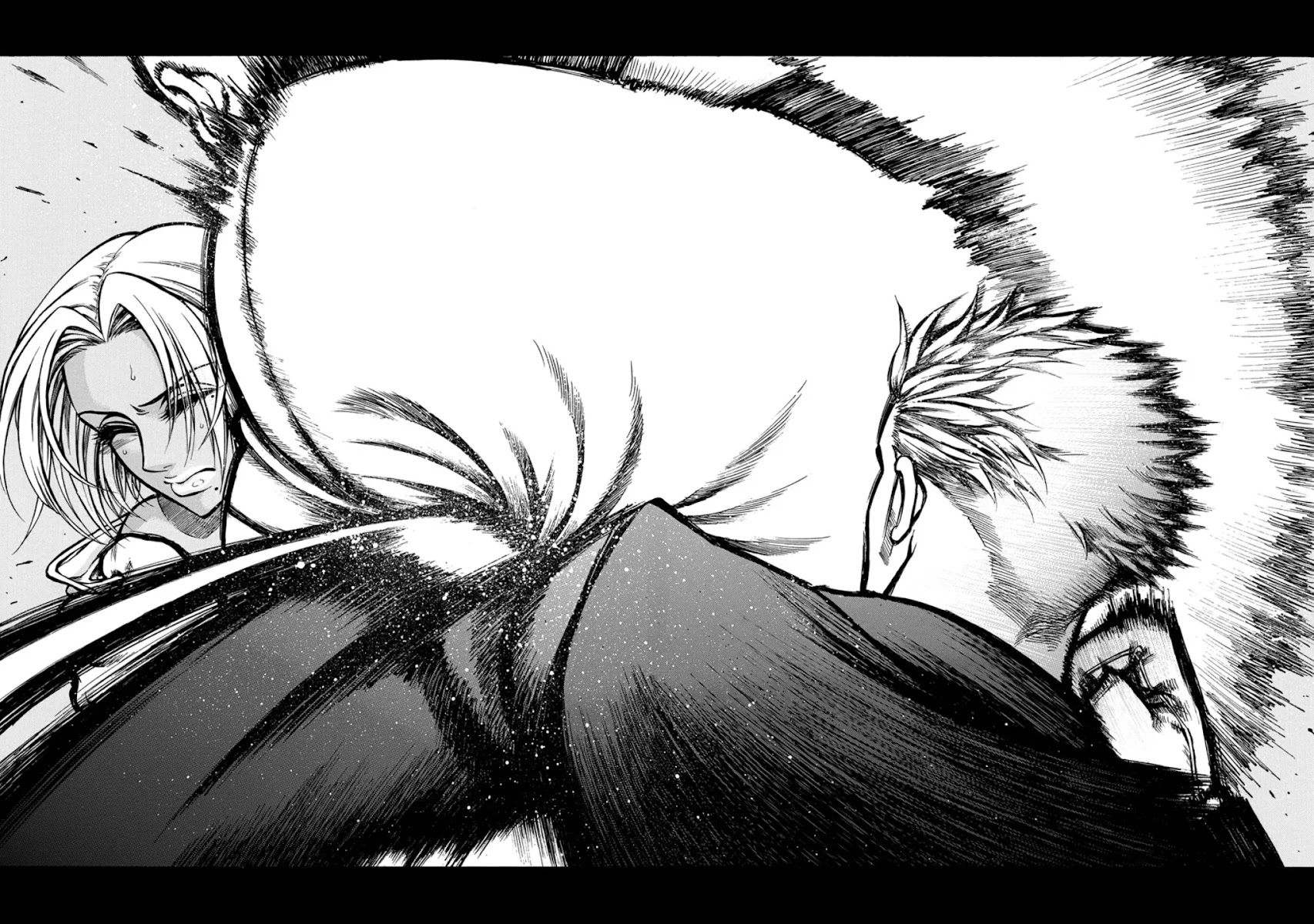 Rudolf Turkey chapter 6 page 17