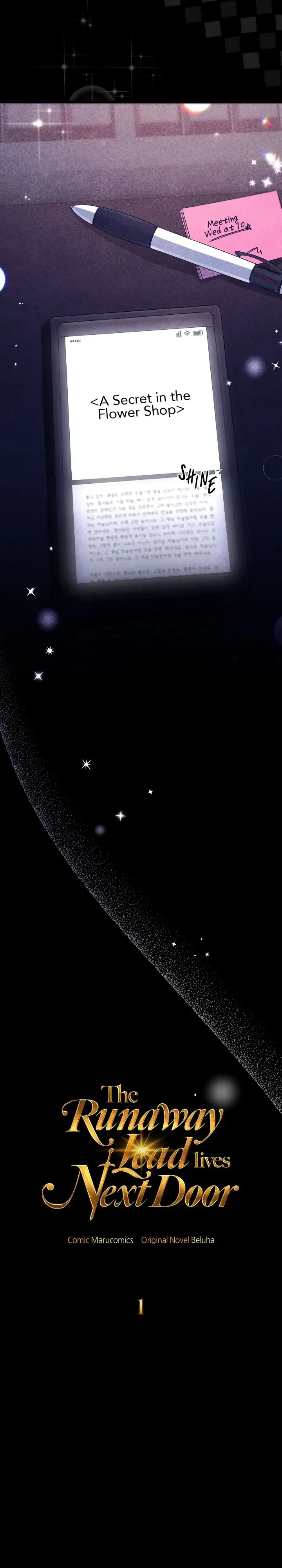 Run Away Lead Lives Next Door chapter 1 page 11