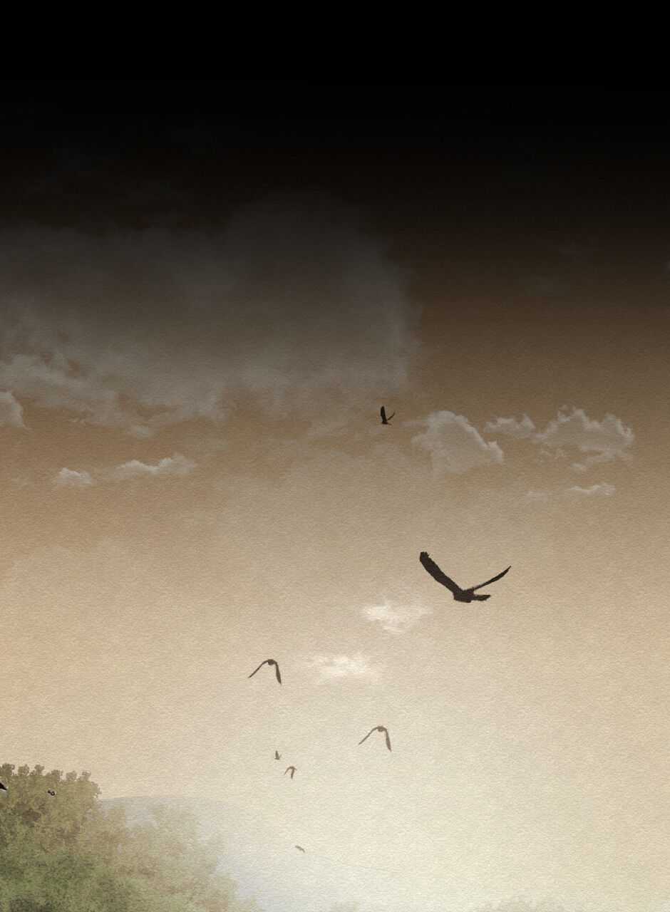 Safe As Houses chapter 9 page 14