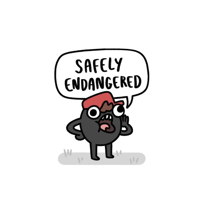 Safely Endangered chapter 173 page 1