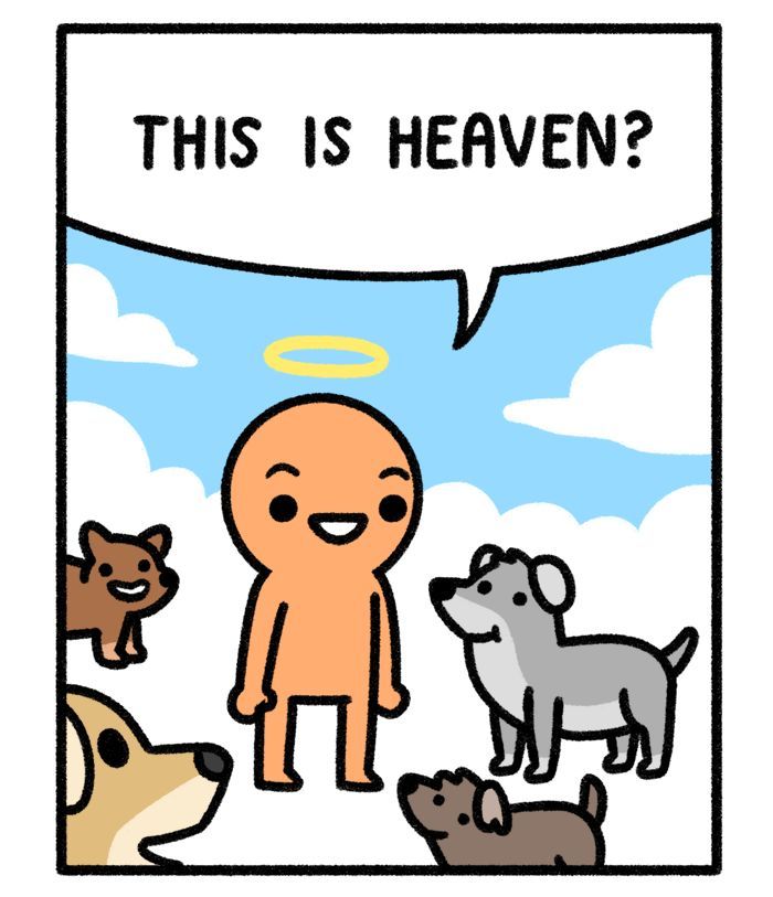 Safely Endangered chapter 258 page 1