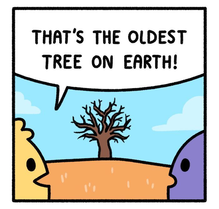 Safely Endangered chapter 282 page 1