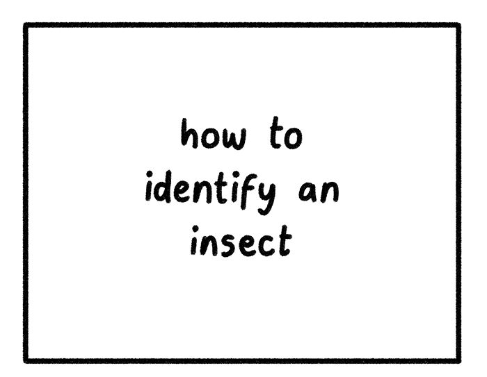 Safely Endangered chapter 470 page 1