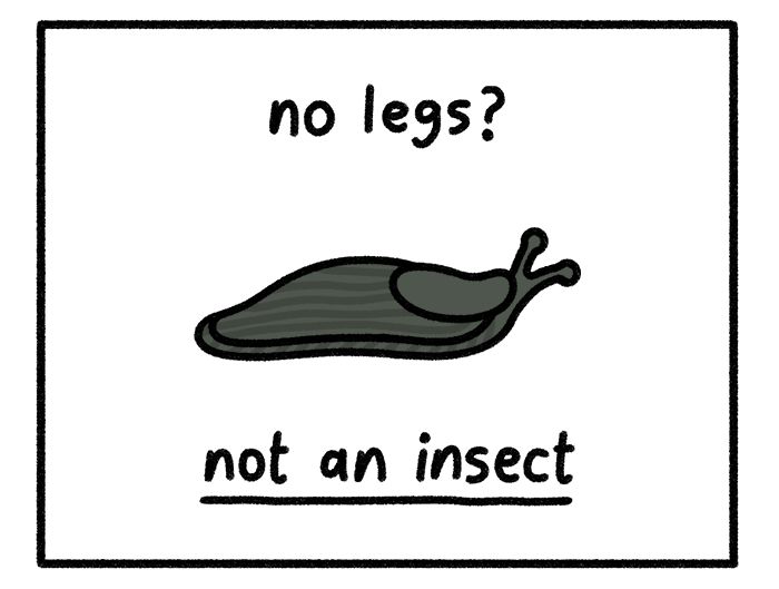 Safely Endangered chapter 470 page 2