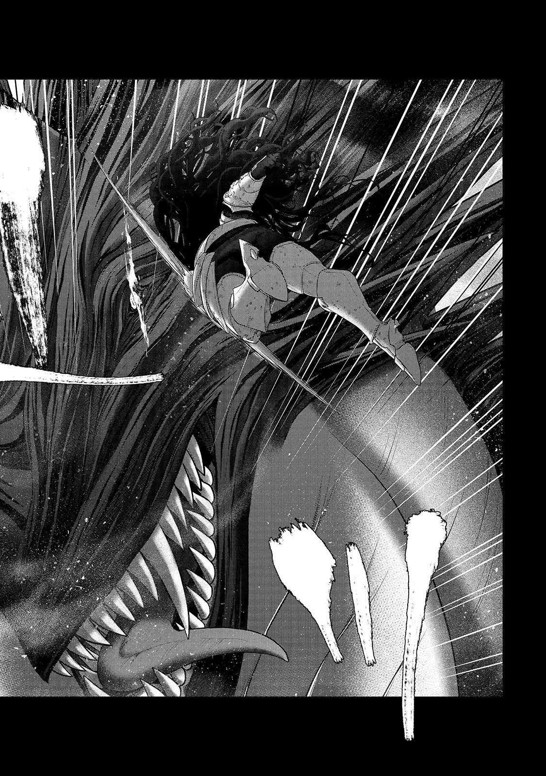 Saihate no Paladin chapter 61.1 page 5