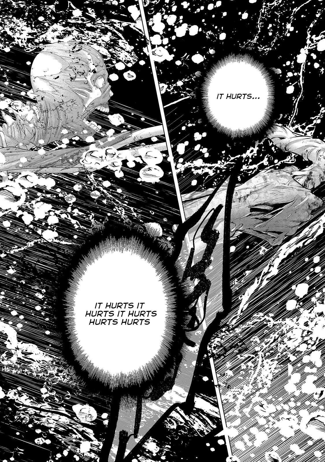 Saihate no Paladin chapter 63.1 page 13