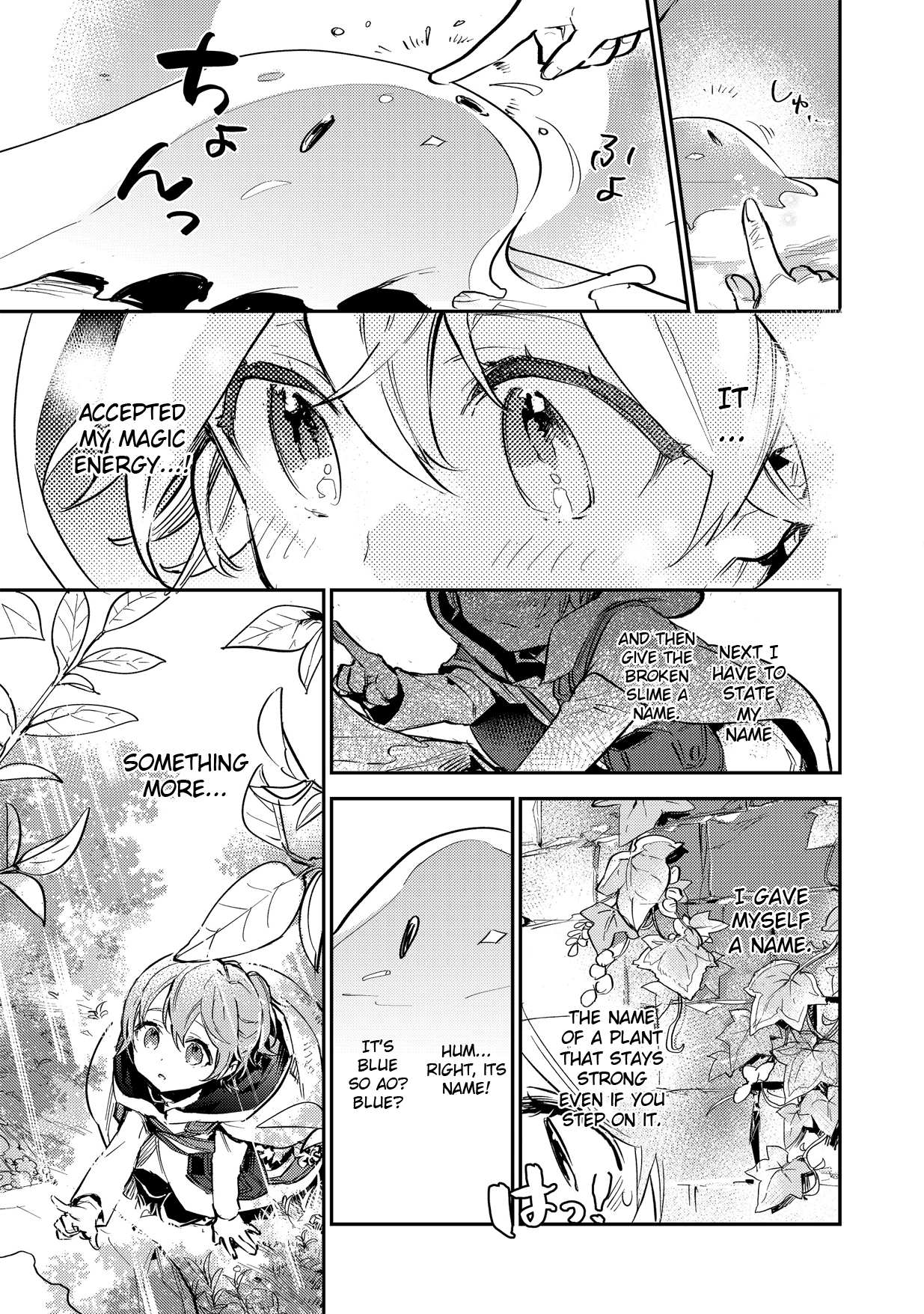 Saijaku Tamer wa Gomi Hiroi no Tabi o Hajimemashita chapter 2.2 page 17