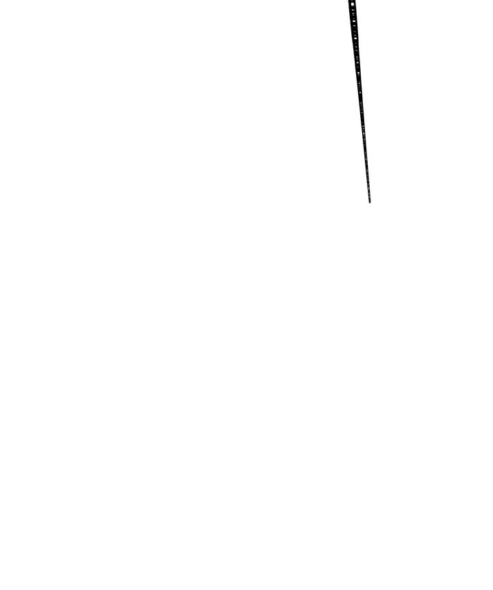 Second Life Ranker chapter 88 page 17