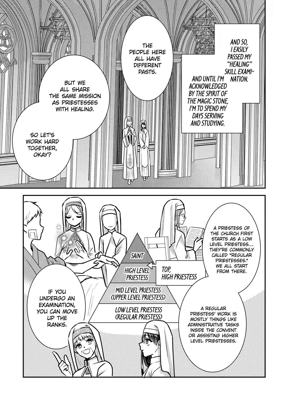 Seijo no Hazu ga, Douyara Nottoraremashita chapter 19 page 7