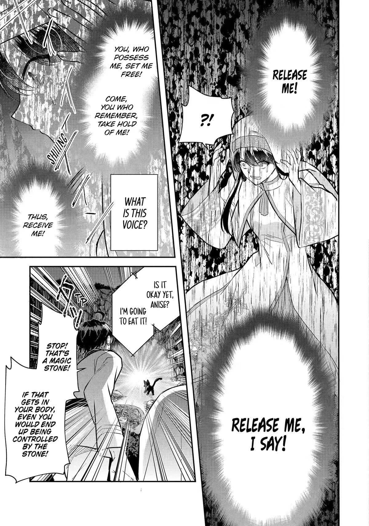 Seijo no Hazu ga, Douyara Nottoraremashita chapter 25 page 13