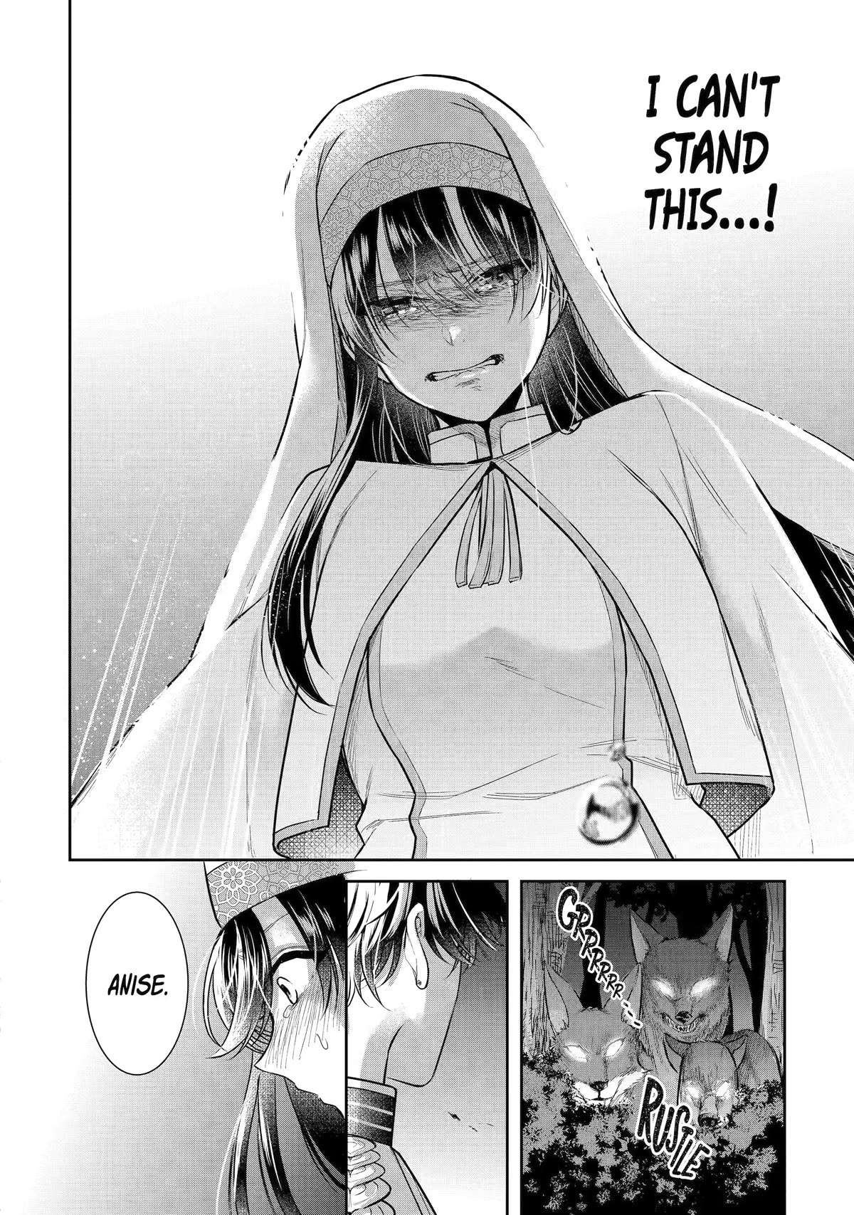 Seijo no Hazu ga, Douyara Nottoraremashita chapter 25 page 26