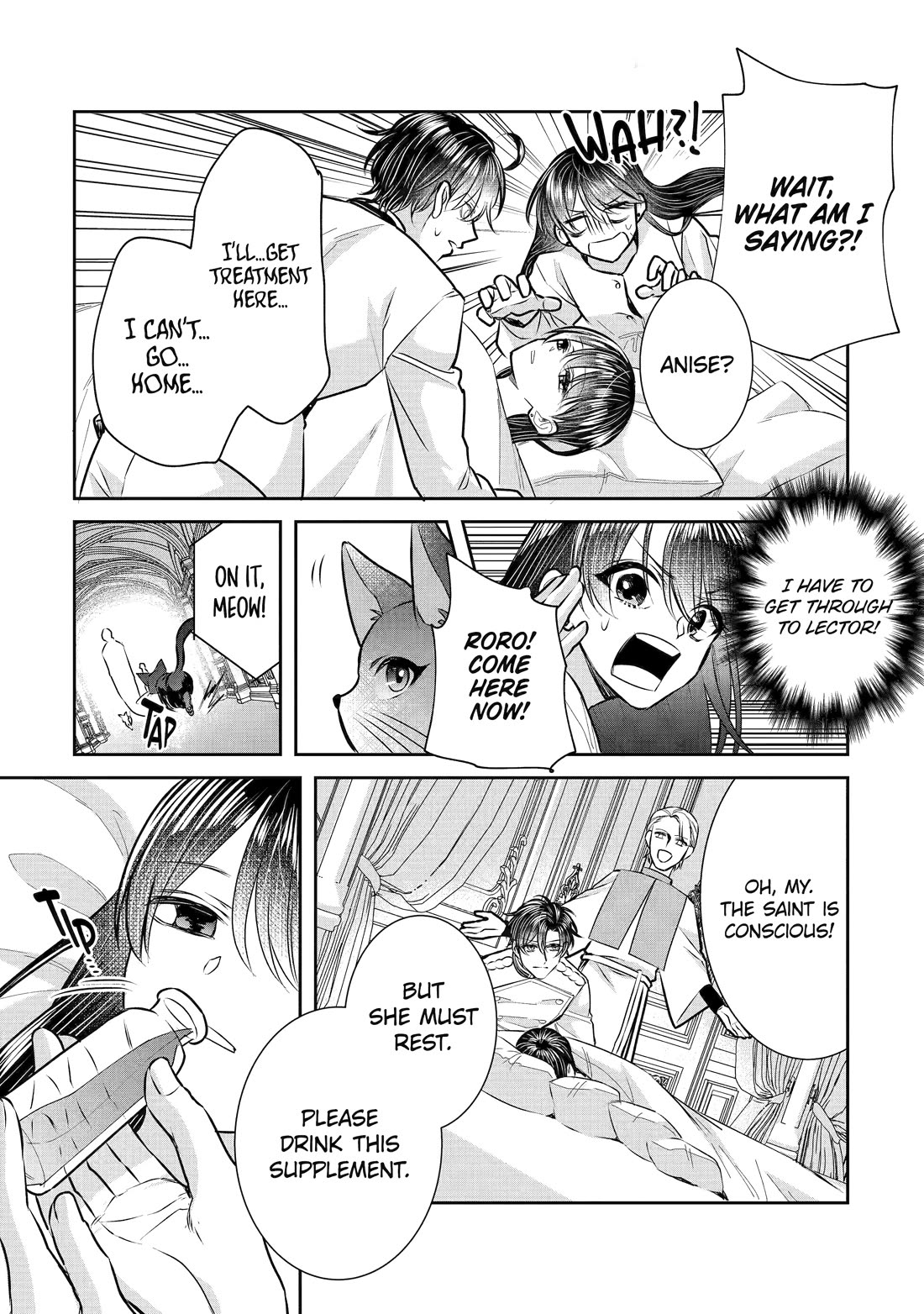 Seijo no Hazu ga, Douyara Nottoraremashita chapter 31 page 27