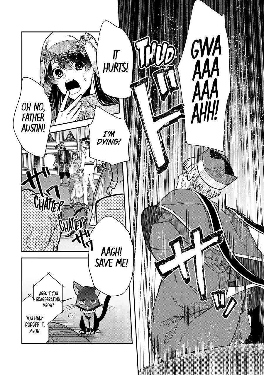 Seijo no Hazu ga, Douyara Nottoraremashita chapter 34 page 17