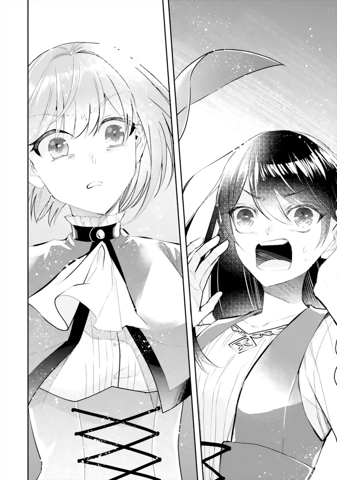 Seijo no Hazu ga, Douyara Nottoraremashita chapter 6.2 page 5