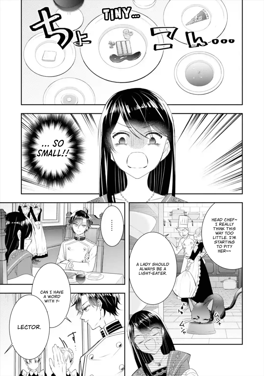 Seijo no Hazu ga, Douyara Nottoraremashita chapter 9 page 12