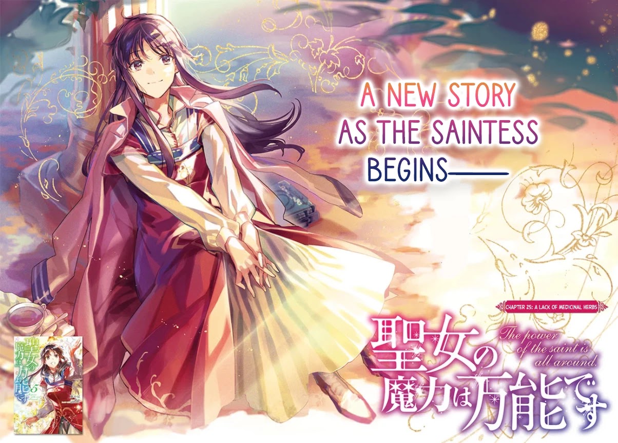 Seijo no Maryoku wa Bannou desu chapter 25 page 2