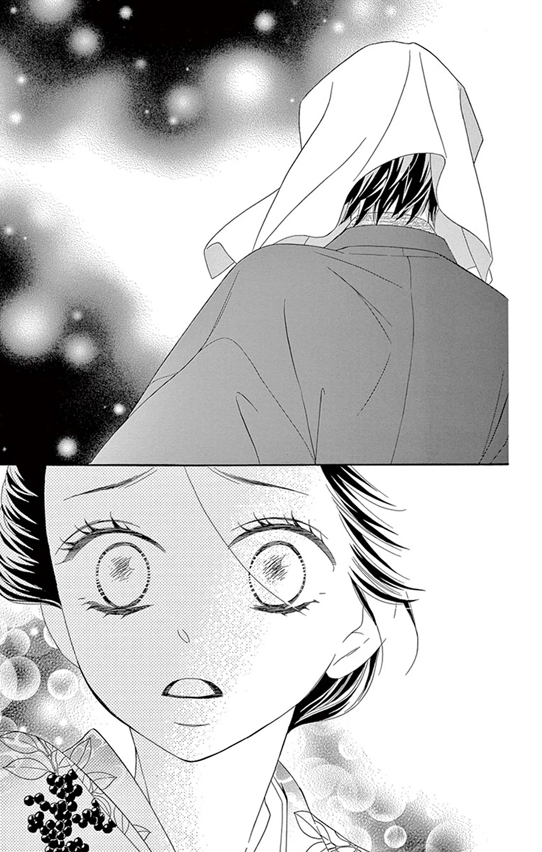 Seirou Opera chapter 20 page 33