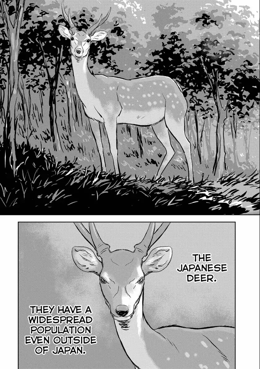 Sengoku Komachi Kuroutan: Noukou Giga chapter 3 page 5