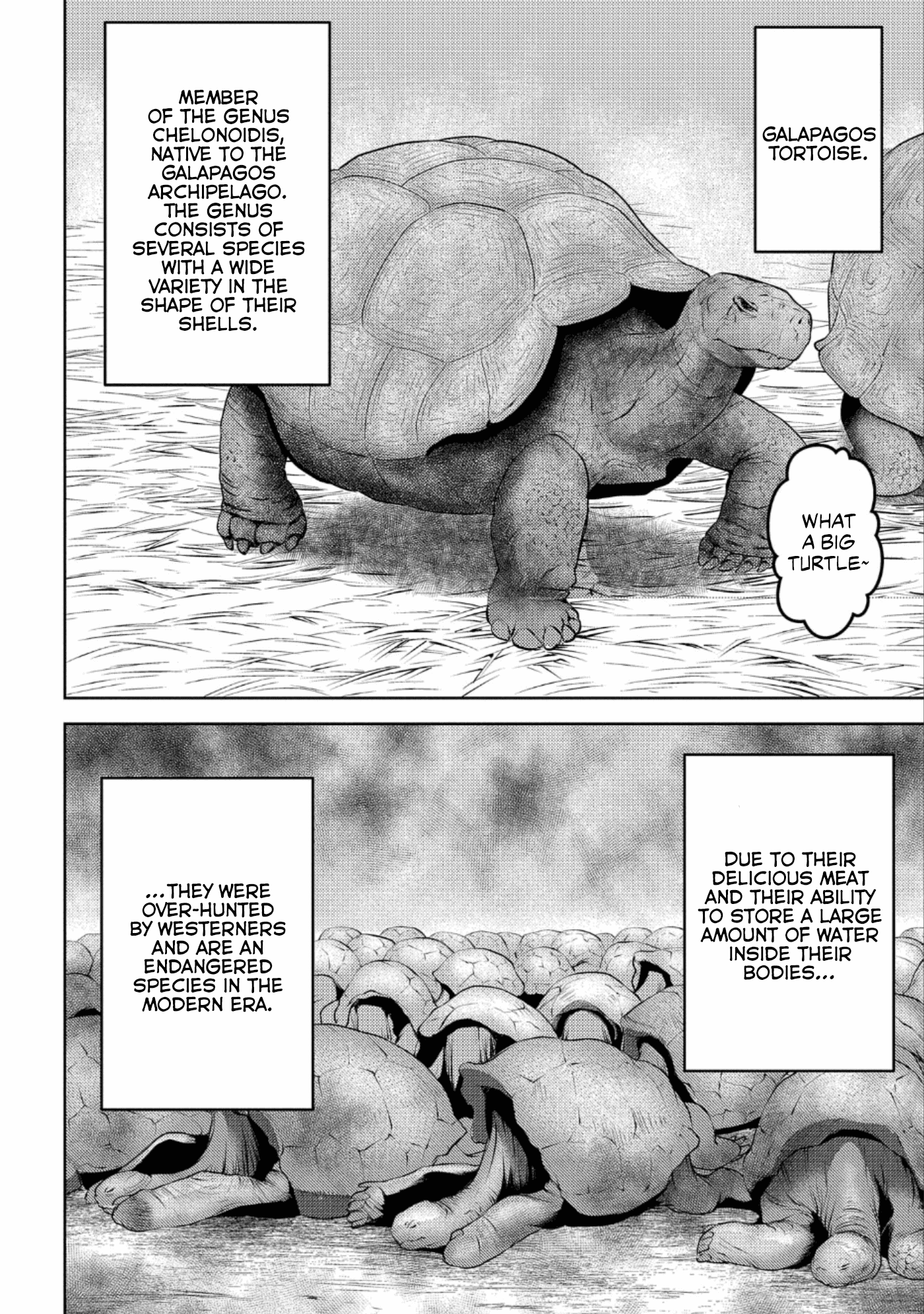 Sengoku Komachi Kuroutan: Noukou Giga chapter 57 page 6