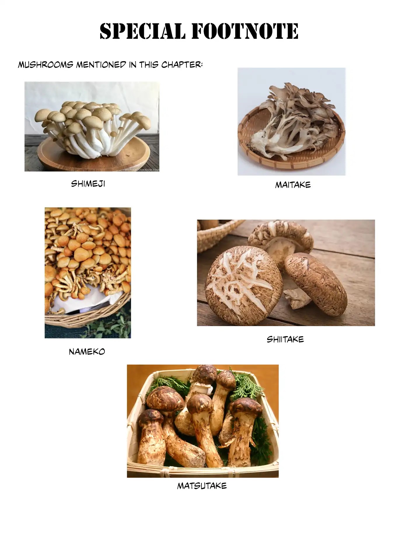 Sengoku Komachi Kuroutan: Noukou Giga chapter 8 page 31