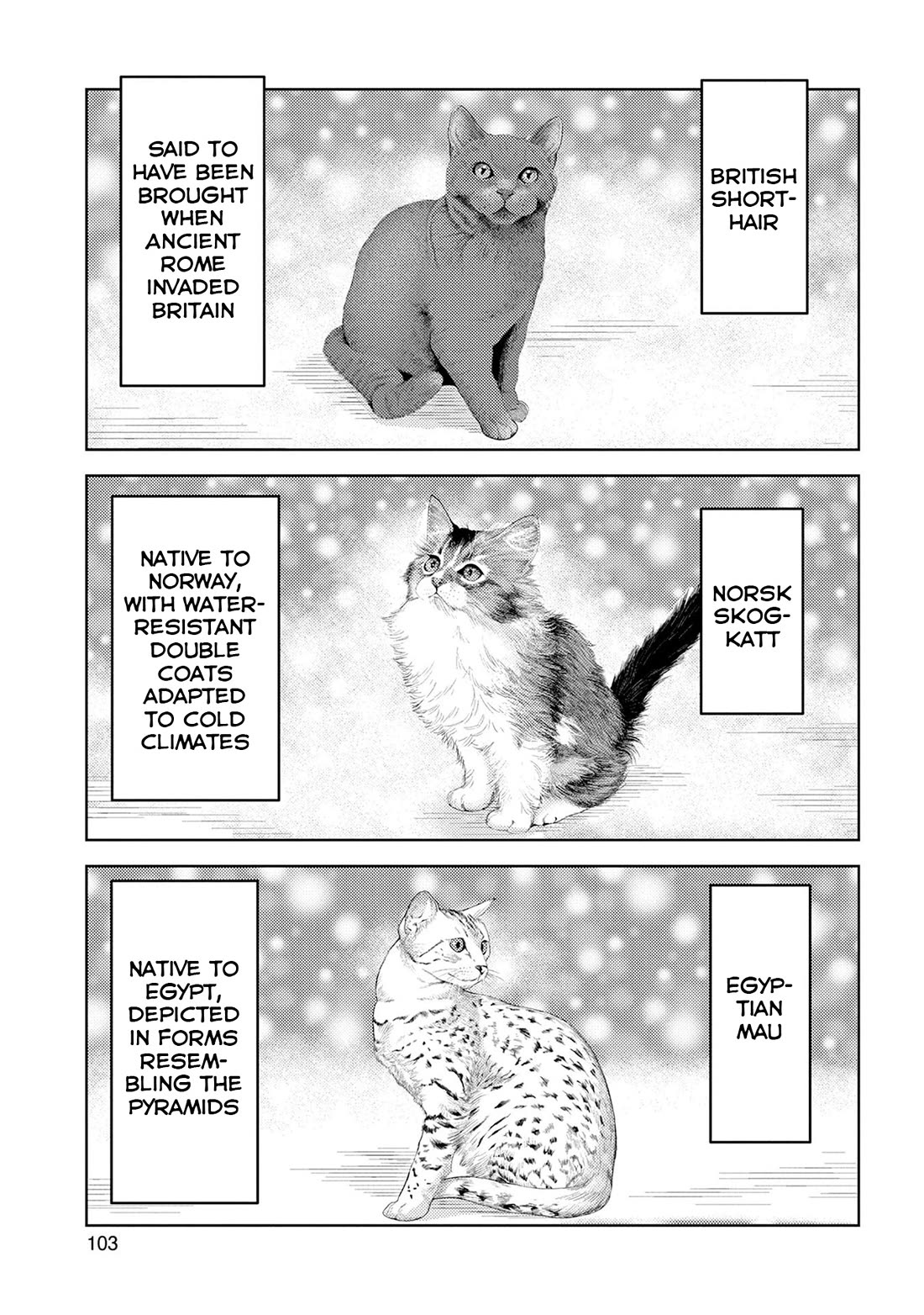 Sengoku Komachi Kuroutan: Noukou Giga chapter 89 page 14