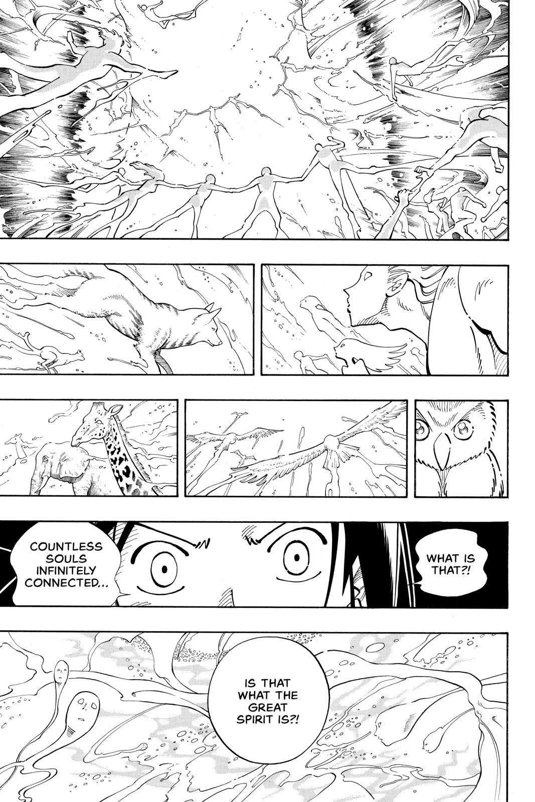 Shaman King chapter 108 page 14