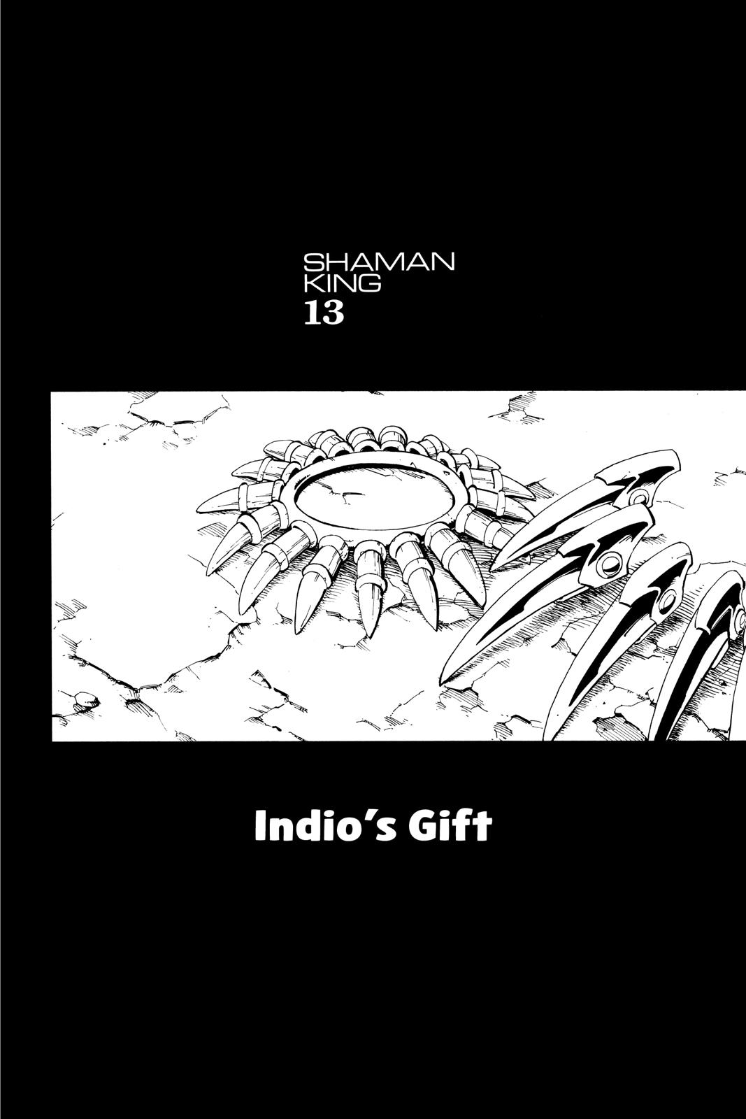 Shaman King chapter 116 page 20