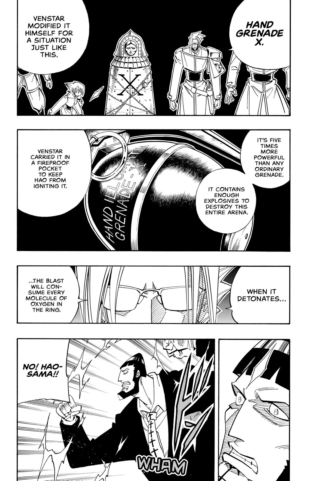 Shaman King chapter 139 page 12