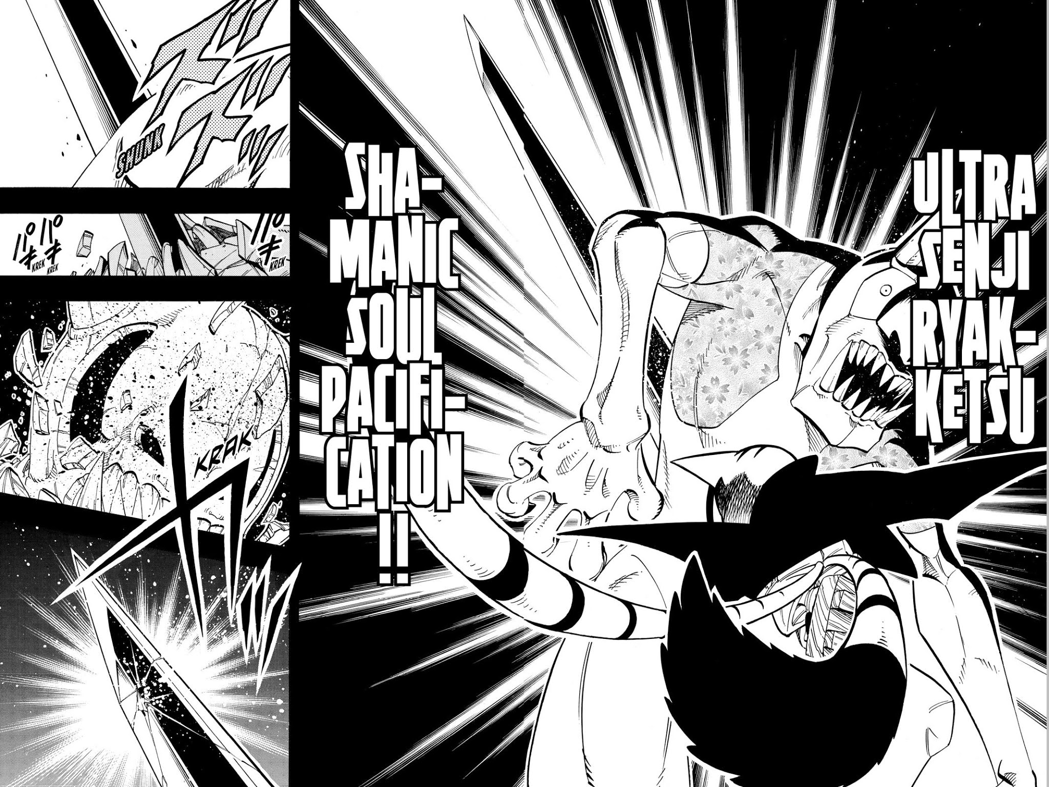 Shaman King chapter 165 page 16